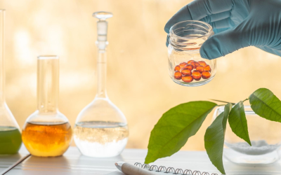 Compléments alimentaires seniors : panorama 2024 pour choix sûrs et éclairés