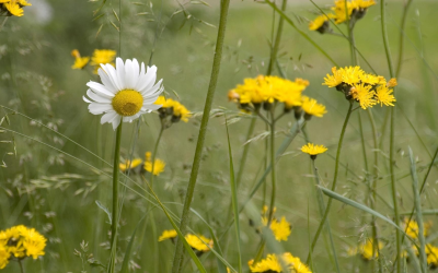 Techniques de relaxation express pour calmer le stress au travail